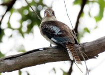 DSC_7512.jpg