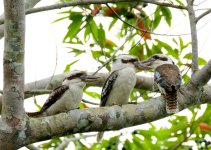 DSC_7522.jpg