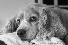 Lottie LR N 500_6906.jpg