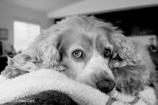 Lottie LR N 500_6880.jpg