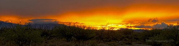 10-12-18-cr__7507729 Pano-ON1.jpg
