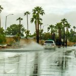 DSC_1153.jpg
