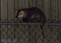 _DSC0708 low res.jpg