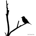 silhouette LR 500_6871.jpg