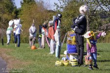 _DSC0779 low res.jpg