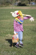 _DSC0791 low res.jpg