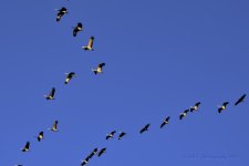 10-16-18-cr__7507781.jpg