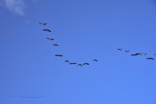 10-16-18-cr__7507782.jpg