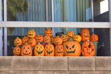 10-17-18-cr__7507786.jpg