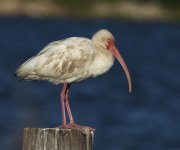 DSC_1250.jpg