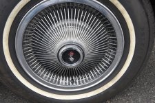 _DSC7291 low res.jpg