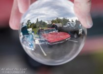 _DSC7570 low res.jpg