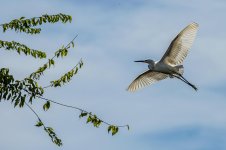 DSC_1563.jpg