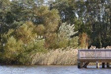 _DSC0875 low res.jpg