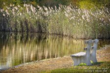 _DSC0880 low res.jpg