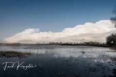 savanna-Quick Preset_1000x664.jpg