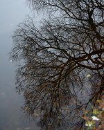 DSC_5902.jpg
