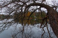DSC_5916.jpg