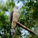DSC_7872.jpg