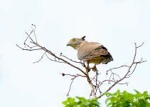 DSC_7889.jpg