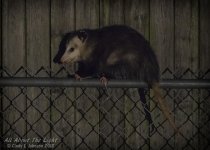 _DSC0708 CEP low res.jpg