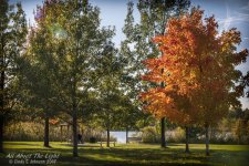 _DSC7635 low res.jpg