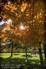 _DSC7636 low res.jpg