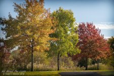 _DSC7650 low res.jpg