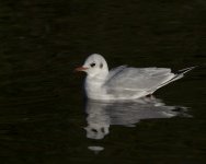 PB020109.jpg