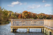 _DSC7660 low res.jpg