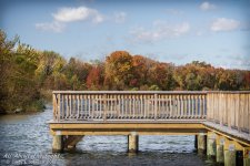 _DSC7660 - Copy low res.jpg