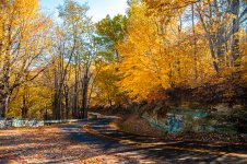Saturday Tour Nov 18-5603.jpg