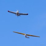 Glider-300.jpg