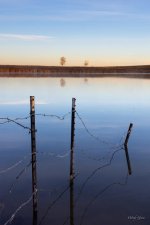 FenceLakeTrees-300.jpg