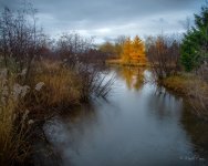DSC_6072.jpg