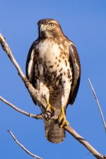 Coopers-328.jpg
