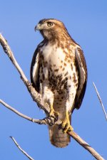 Coopers-329.jpg