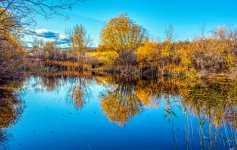 DSC_1775-HDR-Edit.jpg