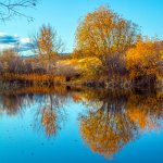 DSC_1778-HDR.jpg