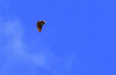_ROY4131_01.jpg