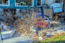 DSC_1769-HDR.jpg