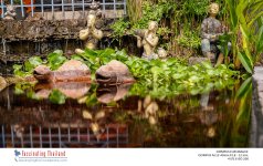 at-a-small-pond-2.jpg