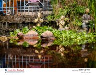 at-a-small-pond-3.jpg
