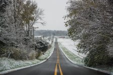 Empty-Road-Cows-007 1000 long side.jpg