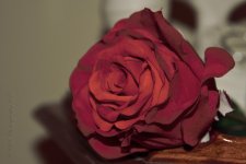 10-27-18-cr__7507959.jpg