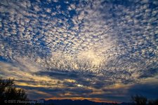 10-29-18-cr__7507968_HDR-ON1.jpg