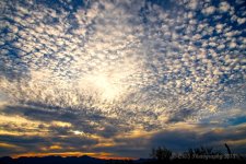 10-29-18-cr__7507973_HDR-ON1.jpg