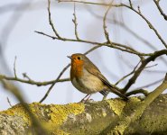 dsc_7766_25725394105_o.jpg