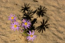 11-10-18-cr__D7K0248.jpg