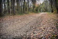 _DSC7774 sRGB low res.jpg